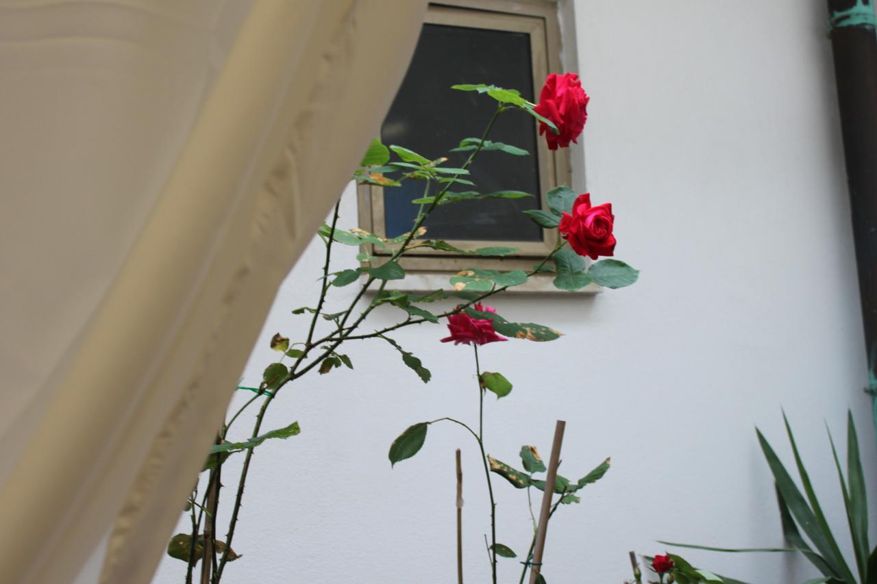 Hotel Dalmazia Florence Luaran gambar
